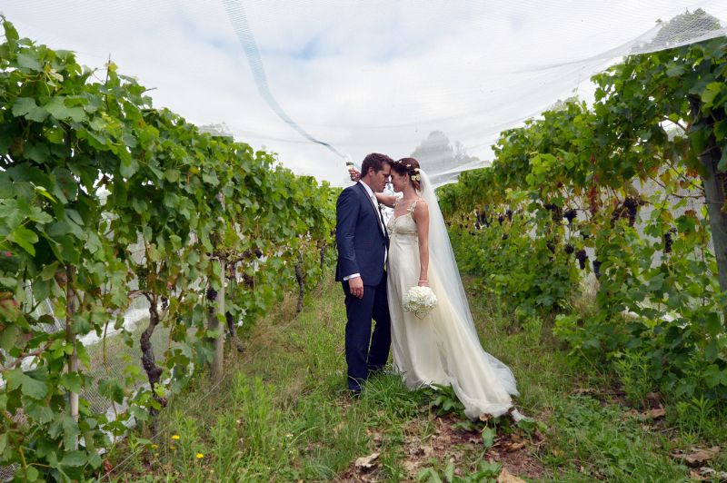 10 Stunning Winery Wedding Venues Perth 
